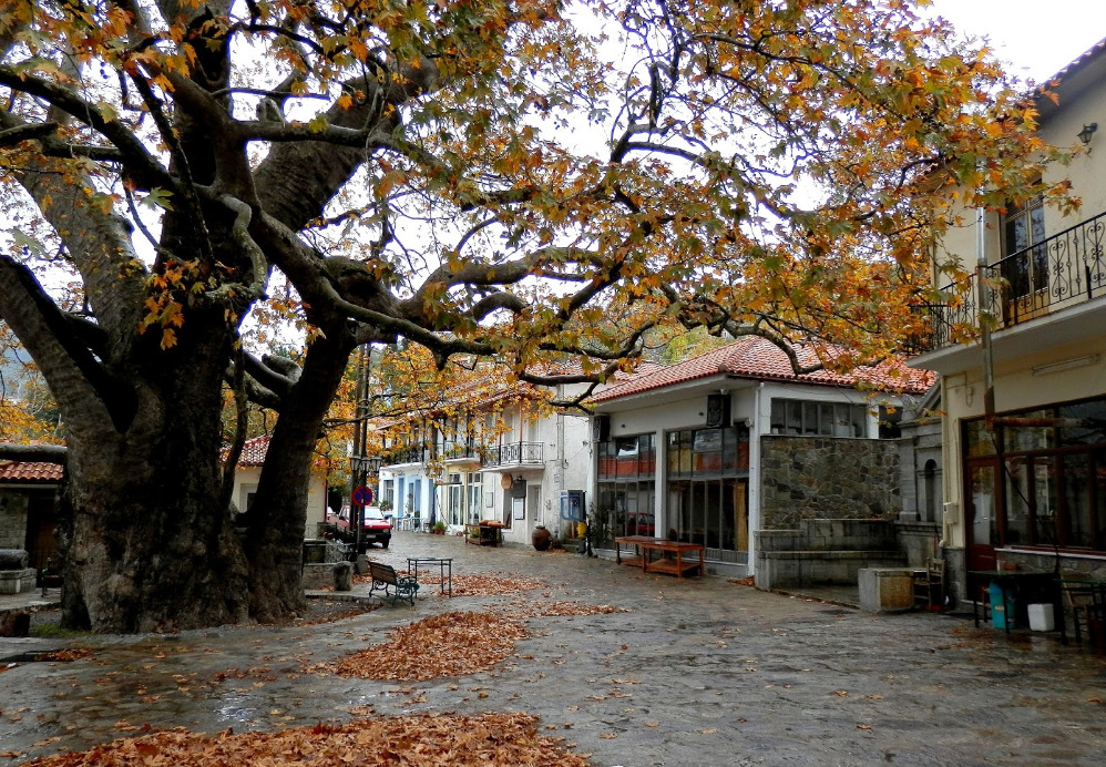 Arna: A Mountain Paradise for Summer Vacations