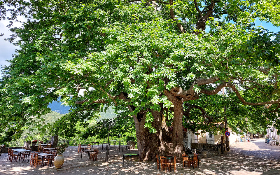 Arna: A Mountain Paradise for Summer Vacations